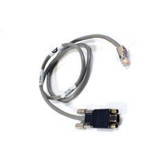 Кабель 100-520-365 EMC Mini-DB9 SP to RJ12 SPS для сервера